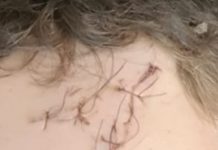 Bătaie într-un bar din Motru! Fiul polițistului Petcu a băgat un tânăr de 19 ani în spital