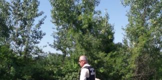 Amendă de 70.000 lei pentru o firmă de prelucrare a lemnului