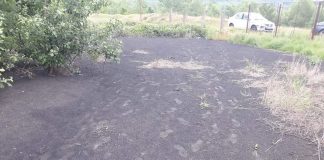 Amendă de 50.000 lei pentru UATAA Motru