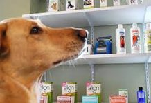 Vindeau produse veterinare expirate. Amenzi usturătoare!