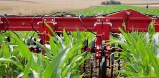 Agricultura pe înțelesul tuturor – Graficul lucrărilor agricole în luna iunie
