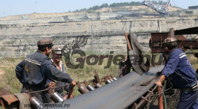 Noi contracte pe 3 luni. CE Oltenia închiriază mașini de transport marfă cu șofer