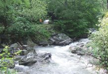 HOINAR PE „DRUMUL DE SUB MUNTE”