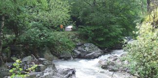 HOINAR PE „DRUMUL DE SUB MUNTE”