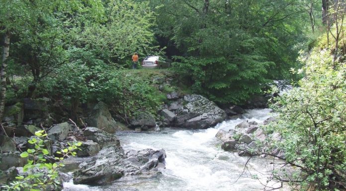 HOINAR PE „DRUMUL DE SUB MUNTE”