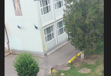 Târgu Jiu: Cal și căruță, parcare regulamentară!