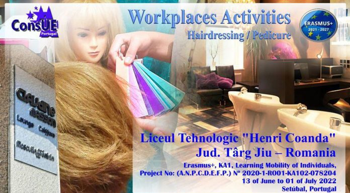 Elevi de la ,,Henri Coandă”, în Portugalia!