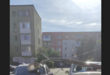 FOTO, Târgu Jiu| Stâlpi căzuți pe mașinile oamenilor!
