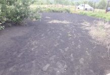 Amendă pentru UATAA Motru