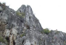 Carstul gorjean – Un veritabil sanctuar natural (I)