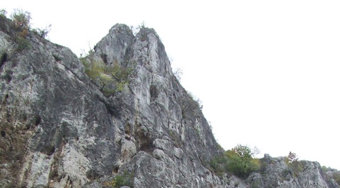 Carstul gorjean – Un veritabil sanctuar natural (I)