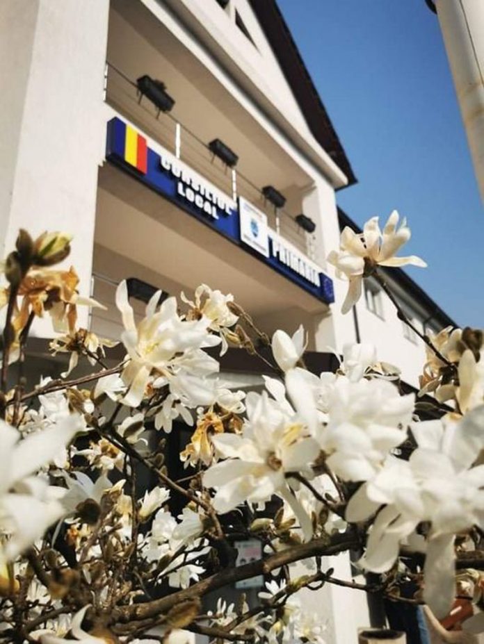 Câștigători la Rovinari, pentru cele mai frumoase grădini!