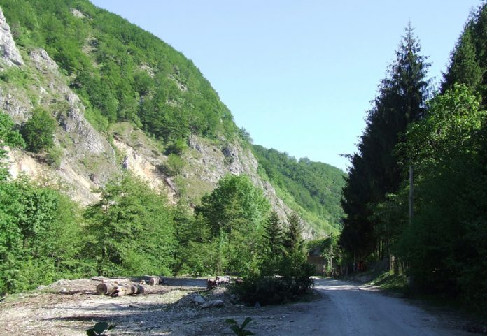 Sanctuare ale naturii – Lumea de piatră a Jiului de Sus