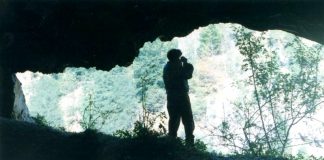 Carstul gorjean în cătarea vremii