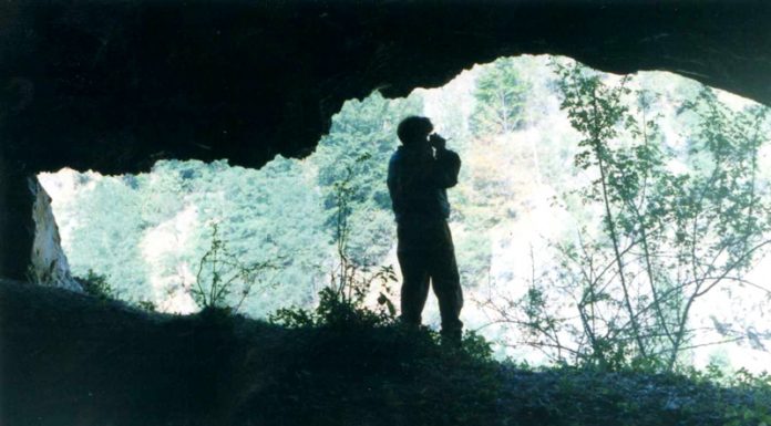 Carstul gorjean în cătarea vremii