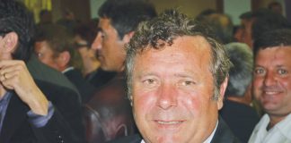 Fost primar achitat pentru tăiere ilegală de arbori!