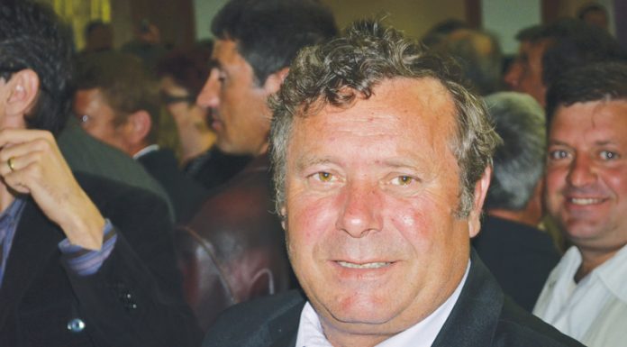 Fost primar achitat pentru tăiere ilegală de arbori!