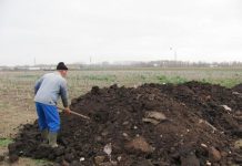 Agricultura pe înțelesul tuturor – Gunoiul de grajd – o comoară a fermierilor