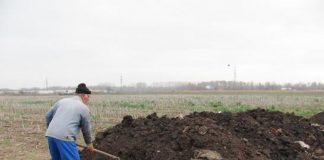 Agricultura pe înțelesul tuturor – Gunoiul de grajd – o comoară a fermierilor