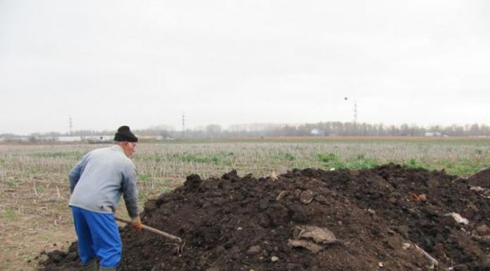 Agricultura pe înțelesul tuturor – Gunoiul de grajd – o comoară a fermierilor