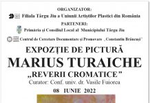 „Reverii cromatice“, la Galeriile de Artă din Târgu Jiu