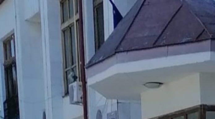 Când scopul scuză mijloacele! Liberalul Matei, la plimbare cu informatorul Scărlătescu!