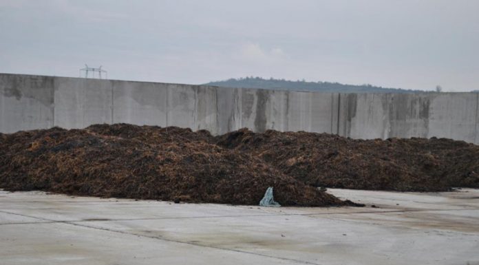 Agricultura pe înțelesul tuturor – Gunoiul de grajd – o comoară a fermierilor