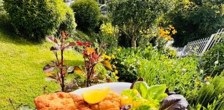 Rețeta săptămânii – Bucătăria lui Fabi: Șnițel vienez, de porc, cu salată de cartofi