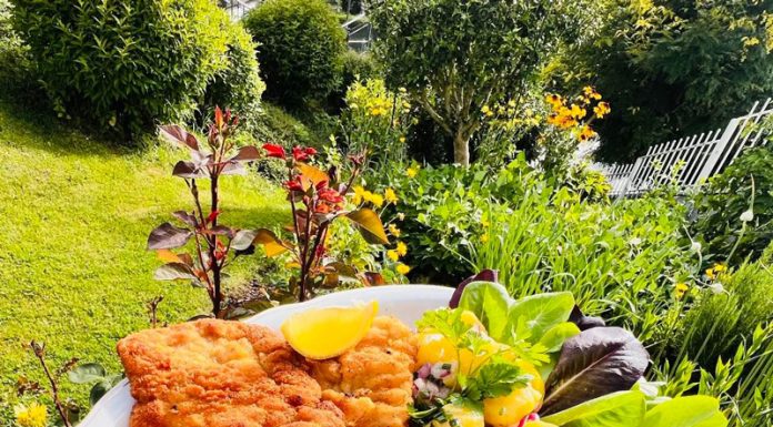 Rețeta săptămânii – Bucătăria lui Fabi: Șnițel vienez, de porc, cu salată de cartofi