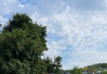 Motrean amendat cu 15.000 lei