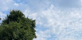 Amendă de 15.000 lei dată la Motru