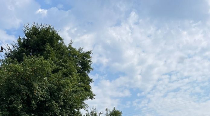 Amendă de 15.000 lei dată la Motru