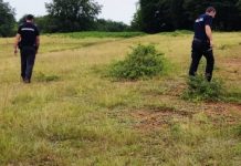 Pacient dispărut din spital, căutat de poliție