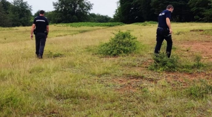 Pacient dispărut din spital, căutat de poliție