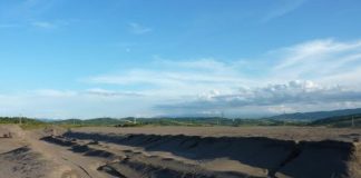 CEO a cerut acord de mediu pentru două parcuri fotovoltaice