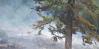 Gorjul, pe primul loc în țară la incendiile de pădure