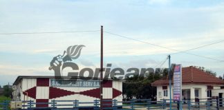 Salariații de la Minprest Serv au tichete de masă pentru doar două luni! Cine rezolva problema pentru 2023?!