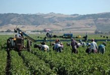 Topul țărilor preferate de gorjeni în căutarea unui loc de muncă