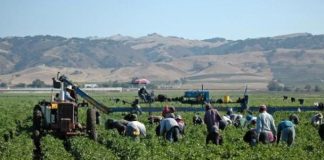 Topul țărilor preferate de gorjeni în căutarea unui loc de muncă