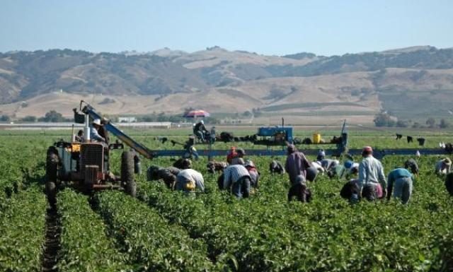 Topul țărilor preferate de gorjeni în căutarea unui loc de muncă