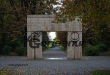 Târgu Jiu: Copil rănit în Parcul Central! O creangă a căzut peste el