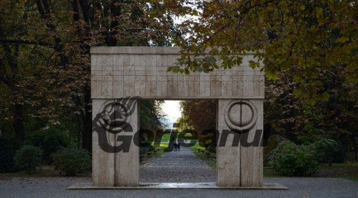 Târgu Jiu: Copil rănit în Parcul Central! O creangă a căzut peste el