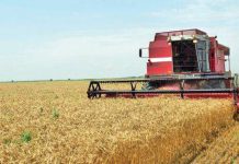 Agricultura pe înțelesul tuturor – Graficul lucrărilor agricole în luna iulie