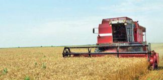 Agricultura pe înțelesul tuturor – Graficul lucrărilor agricole în luna iulie