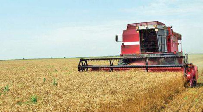 Agricultura pe înțelesul tuturor – Graficul lucrărilor agricole în luna iulie