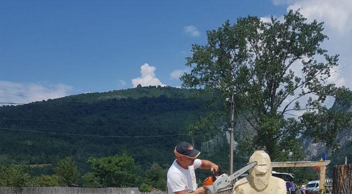 Simboluri dacice sculptate în lemn cu drujba