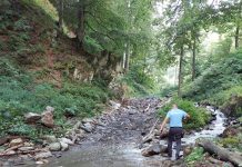 VIDEO: Distrugeau albia râului Șușița Verde! Jandarmii au amendat două firme, cu 16.000 de lei