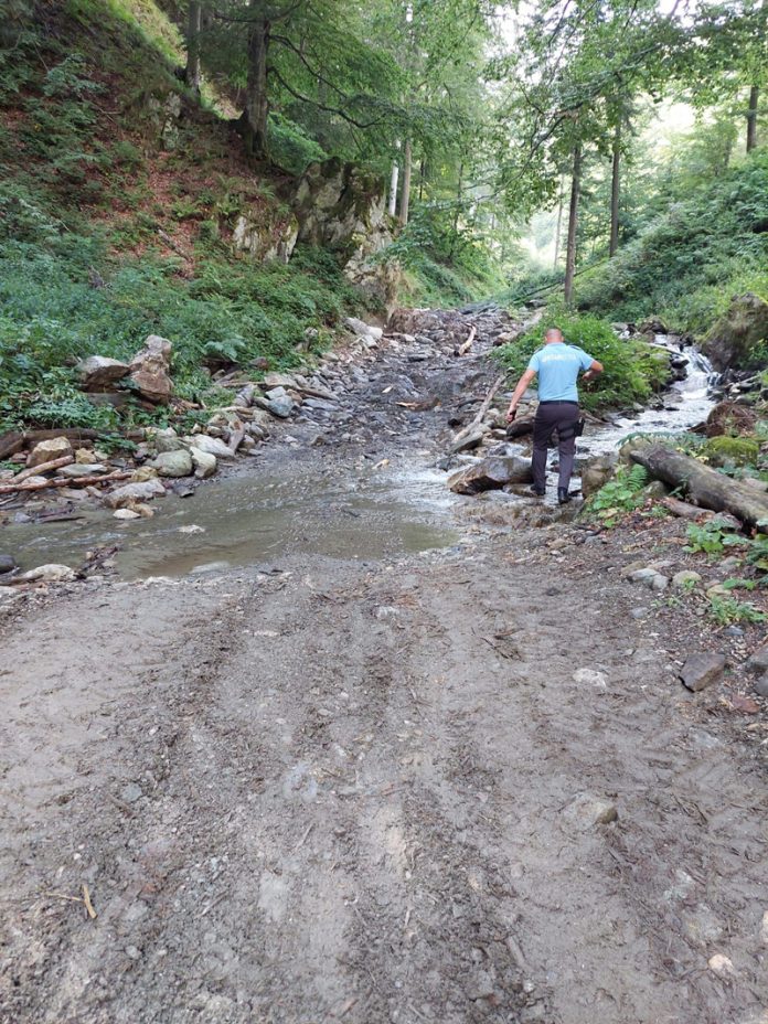 0193944a-1385-4563-8ea7-1db31715fe84