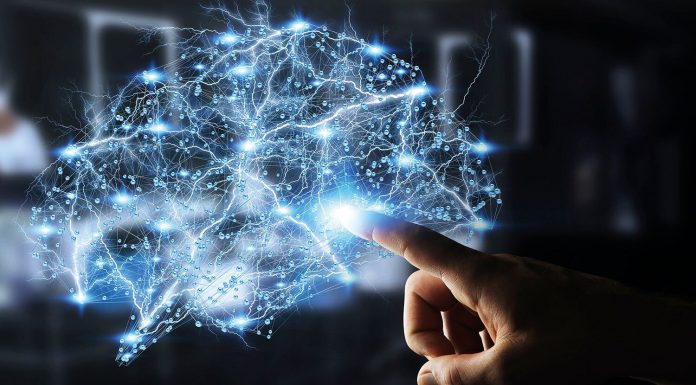 Pierderea neuroplasticității sau despre incapacitatea de a ne adapta situațiilor noi odată cu îmbătrânirea