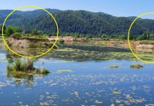 Firma unui tânăr pesedist, interpusul primarului Troacă, exploatări ilegale de agregate, la Padeș! Localnicii rămași fără terenuri au sesizat dezastrul ecologic!